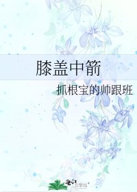 膝盖中箭